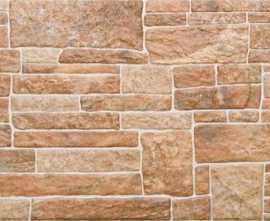 Фасадная плитка Canella ginger 30x49
