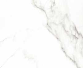 Керамогранит Carrara Premium White PG 01 60x60