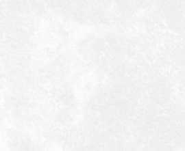 Керамогранит Central Park White/Белый матовый 30x60