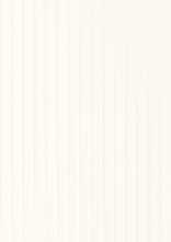 Плитка Cold Princess White Struktura 39,8x119,8