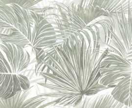 Плитка Color Mood Tropical 80x160