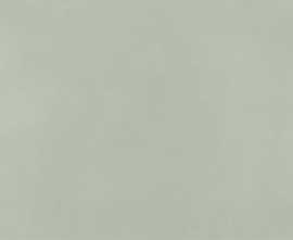 Плитка Color Mood Menta 80x160