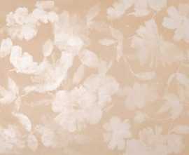 Плитка Color Mood Flower Rosa 80x160