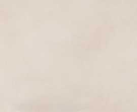 Плитка Color Mood Beige 80x160