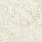 Керамогранит Coralina Bone 60x60
