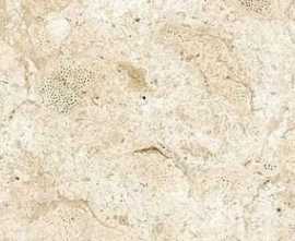 Керамогранит Coralina Blanco 30x60,5