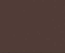 Керамогранит Coverlam Basic Tabaco 50x100