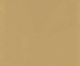 Керамогранит D_Segni Colore Mustard 20x20