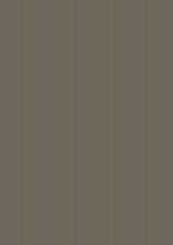 Плитка Eclettica Taupe 40x120
