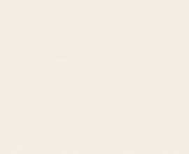 Плитка Egzotica white 30,8x60,8