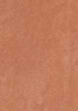 Плитка Ekzotic coral 30x90