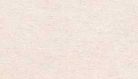 Плитка Erta Beige 25x75