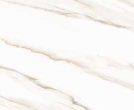 Плитка Esprit Calacatta 25x50