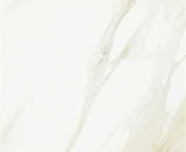 Керамогранит Evolutionmarble Calacatta 60x60
