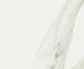 Декор Evolutionmarble Tozzetto Calacatta 15x15