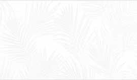 Плитка Exotic White 24,6x74