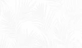 Плитка Exotic White 25,3x75