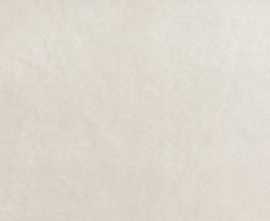 Плитка Bloom White 80x160