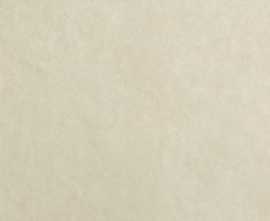 Плитка Bloom Beige 80x160