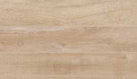 Плитка Glossy Groundy 20x60