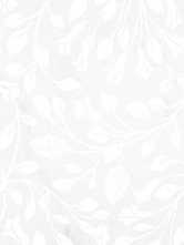 Декор Forza Memoirs White 01 25x60