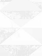 Декор Forza Matrix White 01 25x60