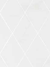 Декор Forza Athena White 01 25x60