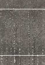 Панно Fusion Wood Platinum Mix3 Lap. Liscia 49x147