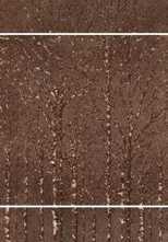 Панно Fusion Wood Bronze Mix3 Lap. Liscia 49x147