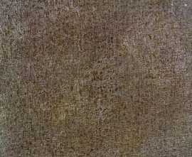 Керамогранит Fusion Bronze Lap. Strutt. 49x49