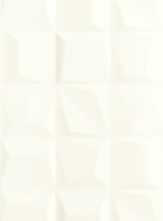 Декор Genesis Rice White matt rett 35x100