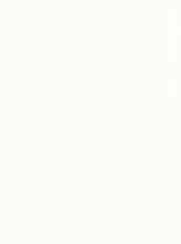 Плитка Genesis Light Branco brilho rett 45x120