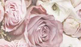 Плитка Glamour Flower A 25x75
