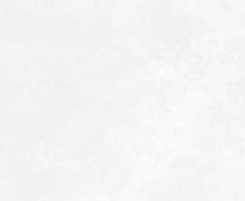 Плитка Antre White 24,9x50