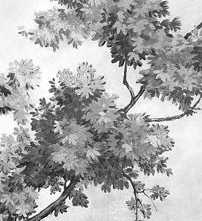 Декор Grande Resin Look Grisaille C Bianco 120x278