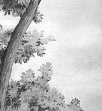 Декор Grande Resin Look Grisaille B Bianco 120x278