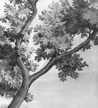 Декор Grande Resin Look Grisaille A Bianco 120x278