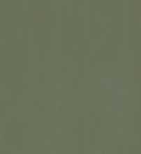 Керамогранит Grande Resin Look Verde Scuro Cold Satin 120x278