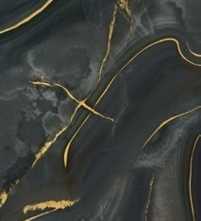 Керамогранит Grandiosa Preziosa Onice Nero Oro 120x280