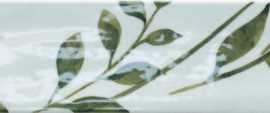 Керамогранит Harmony Aqua Green Decor 6x24,6