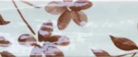 Керамогранит Harmony Aqua Brown Decor 6x24,6