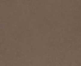 Керамогранит Intero brown Rect mat 59,8x119,8