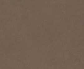 Керамогранит Intero brown Rect mat 44,8x89,8