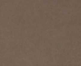 Керамогранит Intero brown Rect mat 29,8x59,8