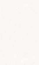 Плитка Jardin White Matt Rec 40x120