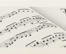 Декор Joy 5 STR 22,3x44,8
