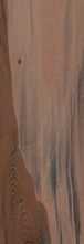 Керамогранит Kauri Kaimai Lap Rett 20x120