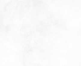 Плитка Konor White 24,9x50