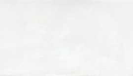 Плитка Leed Blanco 20x60
