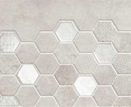 Декор Magnetia Dekor hexa B 25x36